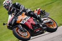 Lower Group Orange Bikes